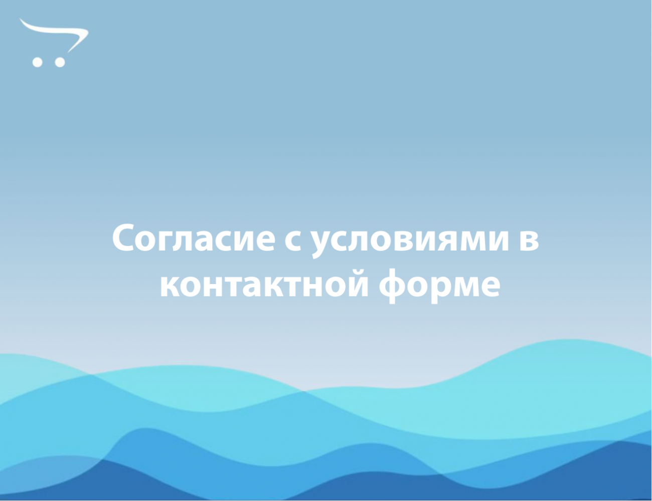 Согласие с условиями в контактной форме